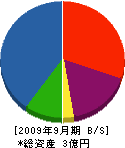琉球ゴーレックス 貸借対照表 2009年9月期