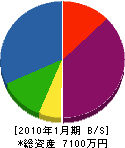 佐藤工業 貸借対照表 2010年1月期