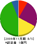 田中設備工業 貸借対照表 2009年11月期