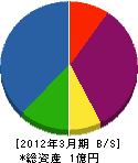 神奈川ボーリング工業 貸借対照表 2012年3月期