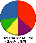 朝日土木建築 貸借対照表 2012年12月期