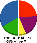 堀井産業 貸借対照表 2010年9月期