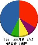 遠藤吉照土建 貸借対照表 2011年5月期