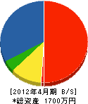 細沼電気商会 貸借対照表 2012年4月期