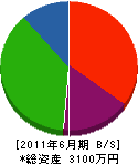 弘成工業 貸借対照表 2011年6月期