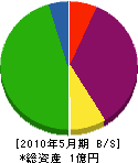 成田電業 貸借対照表 2010年5月期