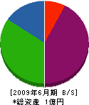 静岡体育施設 貸借対照表 2009年6月期