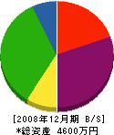 平山塗装工作所 貸借対照表 2008年12月期