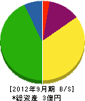 武田建材 貸借対照表 2012年9月期