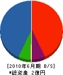 竹節建築 貸借対照表 2010年6月期