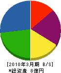 柳沢リース建設 貸借対照表 2010年3月期