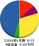 田崎建設 貸借対照表 2008年6月期