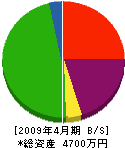 平成土木 貸借対照表 2009年4月期