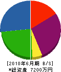 西沢工業 貸借対照表 2010年6月期