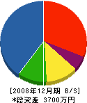 東田建築 貸借対照表 2008年12月期
