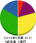 松村工務店 貸借対照表 2010年6月期