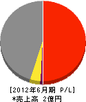 大阪みどり技研 損益計算書 2012年6月期