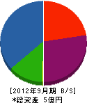石井工業 貸借対照表 2012年9月期