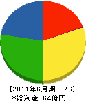 日本コンクリート 貸借対照表 2011年6月期
