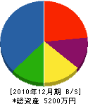 伊藤板金工業 貸借対照表 2010年12月期