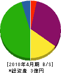 田辺水道工務店 貸借対照表 2010年4月期