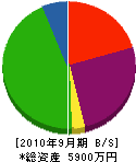 カネヨシ建設 貸借対照表 2010年9月期