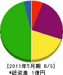 川＊技術開発 貸借対照表 2011年5月期