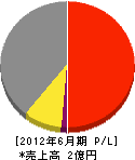 藤井電工 損益計算書 2012年6月期
