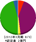 新日本建設 貸借対照表 2012年3月期
