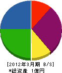 池田看板 貸借対照表 2012年3月期
