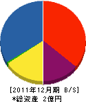 武内電気 貸借対照表 2011年12月期