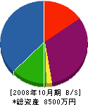 勝晃園 貸借対照表 2008年10月期