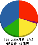 中央電子光学 貸借対照表 2012年9月期