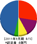 エコ・２４ 貸借対照表 2011年9月期