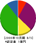 東栄塗装 貸借対照表 2008年10月期