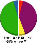 吉野工業 貸借対照表 2012年5月期