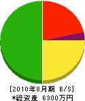 てんぷれーと 貸借対照表 2010年8月期