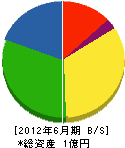 須藤建設 貸借対照表 2012年6月期