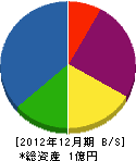 藤川土建 貸借対照表 2012年12月期