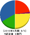 奈良シールド工業 貸借対照表 2010年6月期