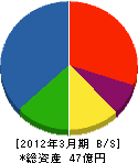 東京電機 貸借対照表 2012年3月期
