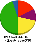 ニシムラ運輸 貸借対照表 2010年6月期