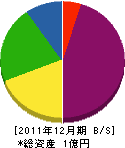 サシヒロ 貸借対照表 2011年12月期