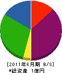 大阪装飾 貸借対照表 2011年6月期