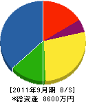 アートエヤコン 貸借対照表 2011年9月期