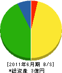 香坂建設 貸借対照表 2011年6月期