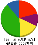 赤湯プロパン 貸借対照表 2011年10月期