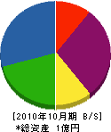 篠原総合設備 貸借対照表 2010年10月期