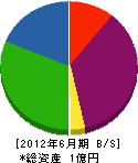 咲田建装工業 貸借対照表 2012年6月期