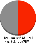 武田建設 損益計算書 2009年12月期